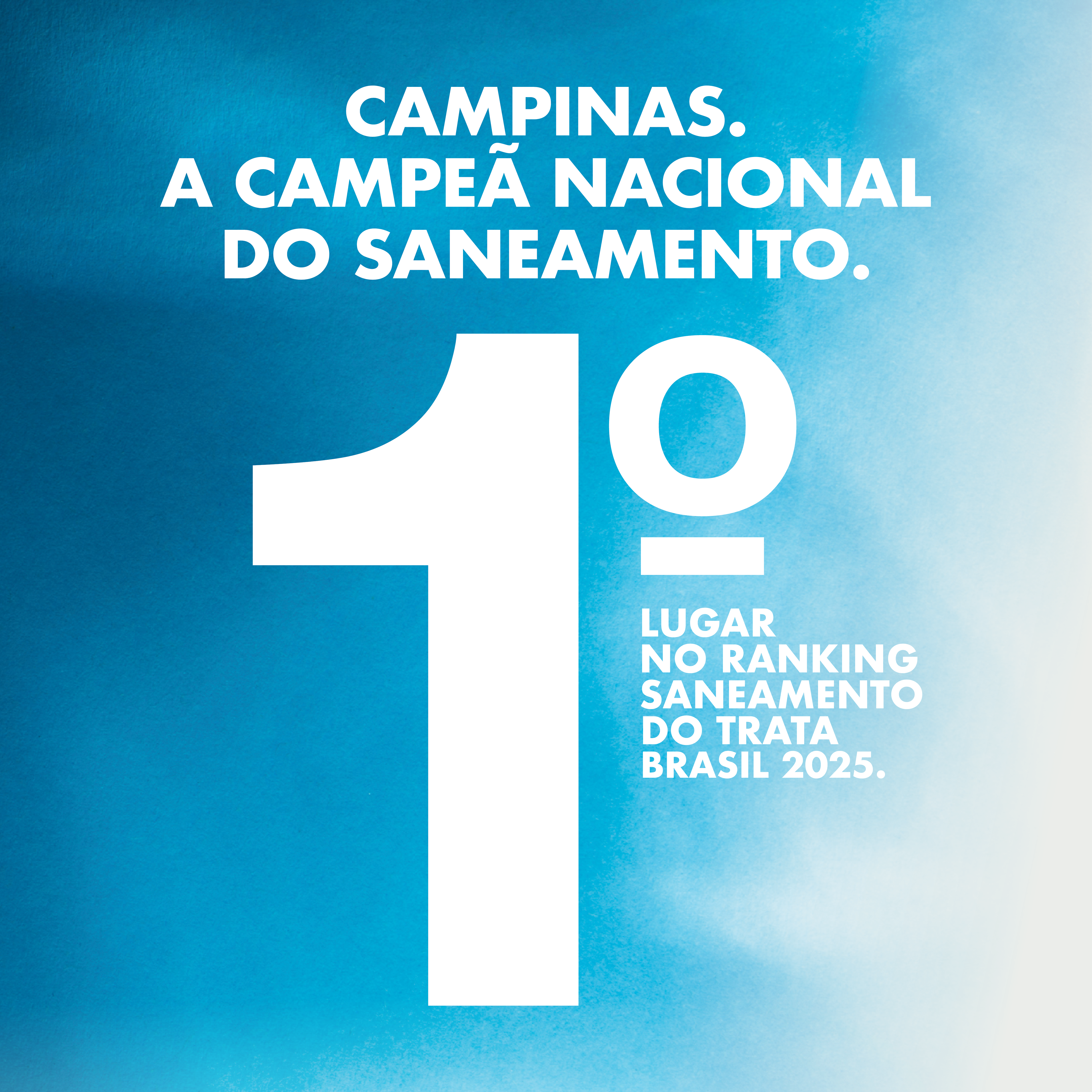 CAMPANHA TRATA BRASIL